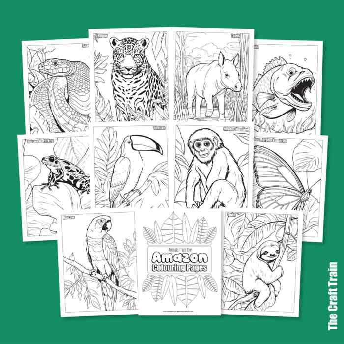 Rainforest animals coloring sheet