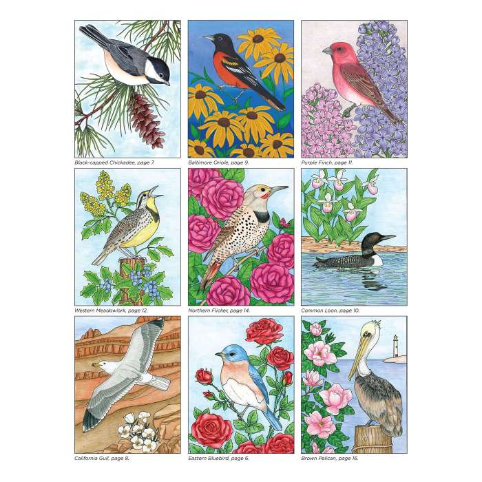 Birds at home coloring book