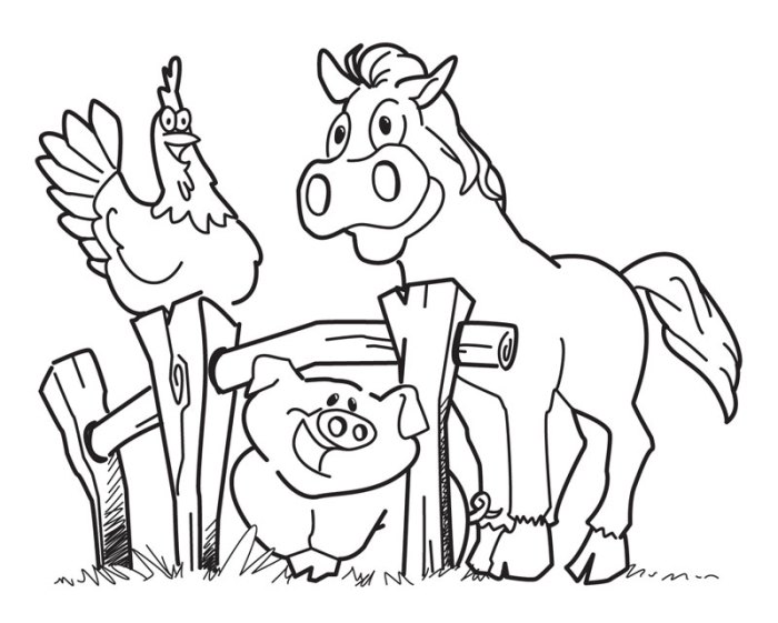 Farm animal coloring pqge