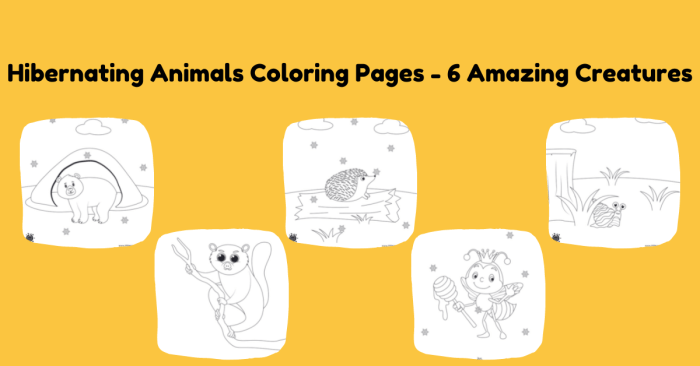 Hibernating animals coloring pages