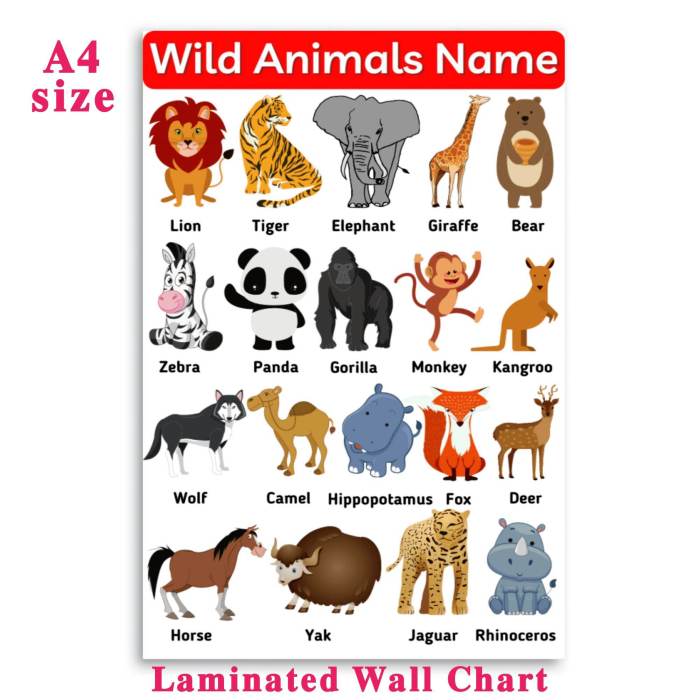 Animal coloring pages chart