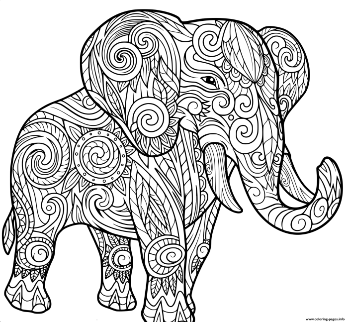 Detailed animals coloring pages