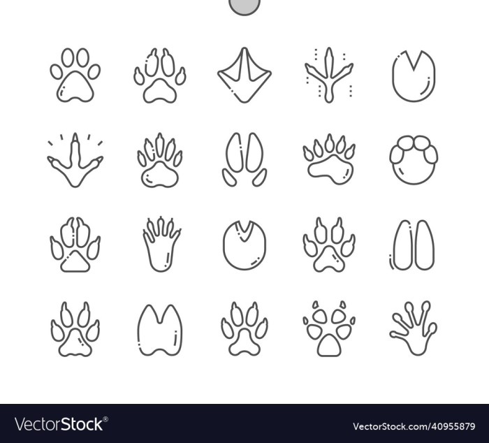 Animal footprint coloring pages