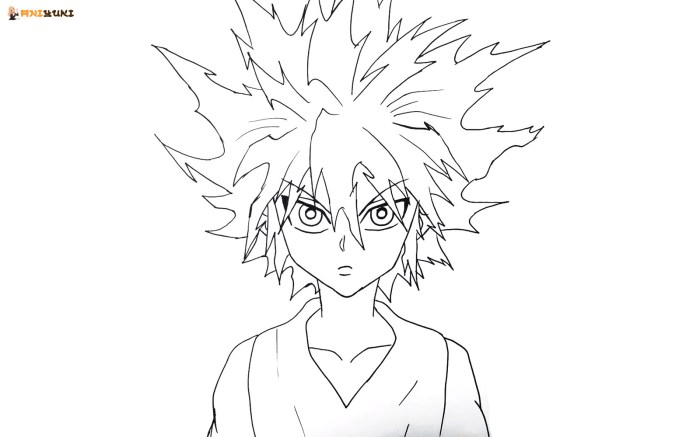 Anime coloring pages hunter x hunter