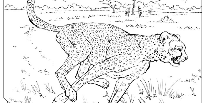 Coloring pages animals pfg