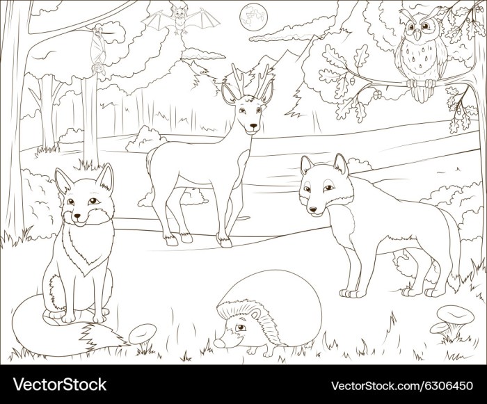 Deciduous forest animals coloring pages