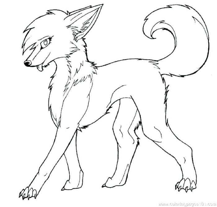 Wolf coloring pages anime