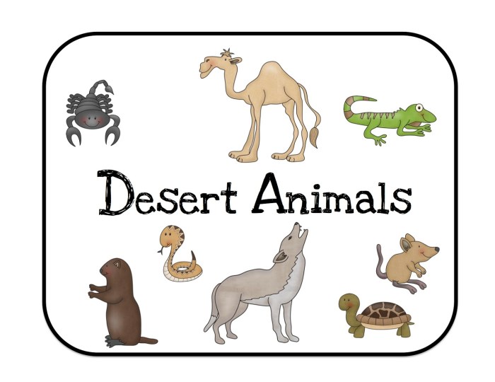 Desert animal coloring drawing