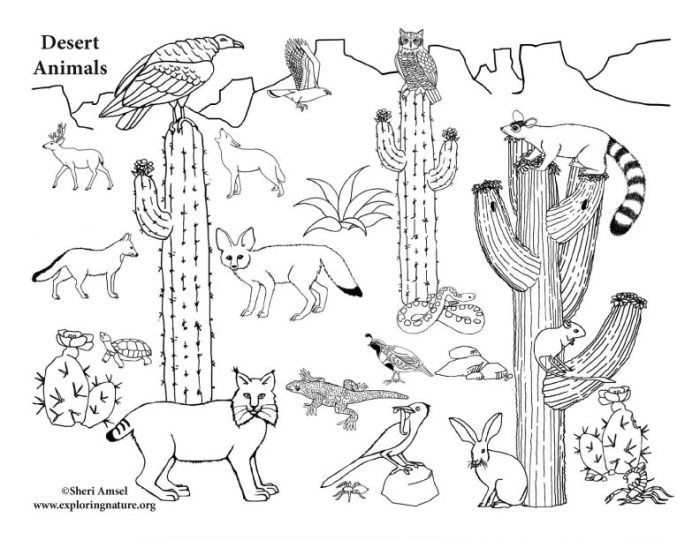 Desert coloring page cactus animals