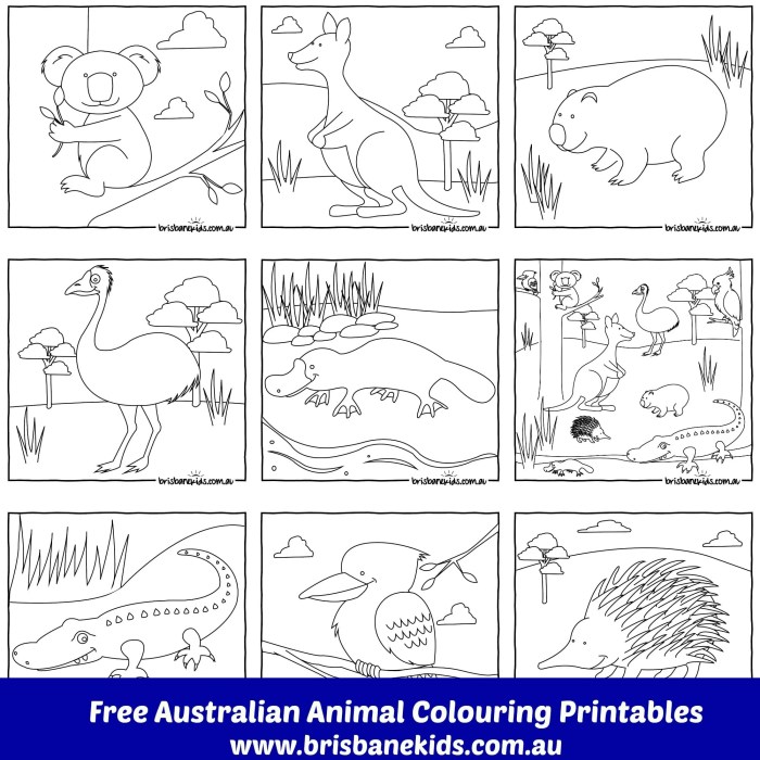 Favorite australian animals coloring pages