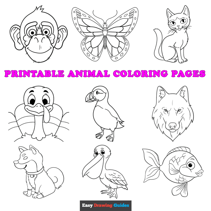 Free kids coloring page animals