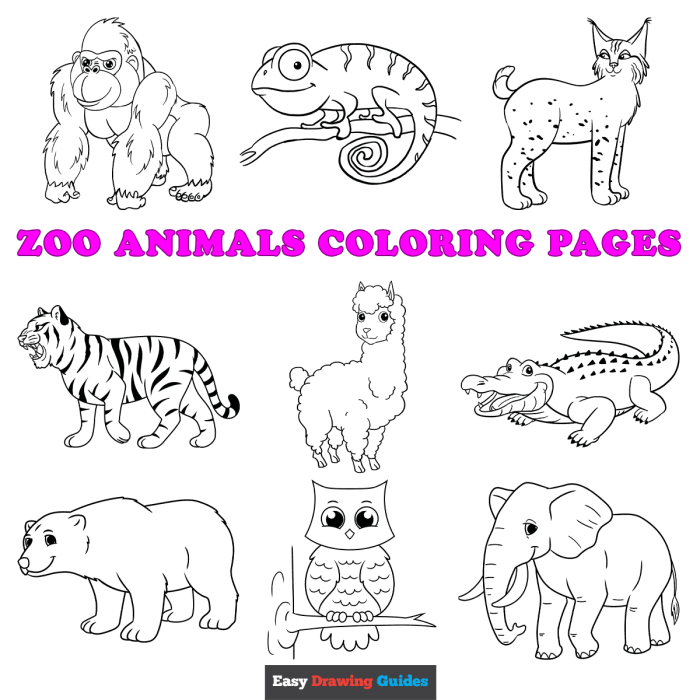 Free kids coloring page animals