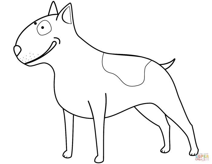 Bull terrier coloring book