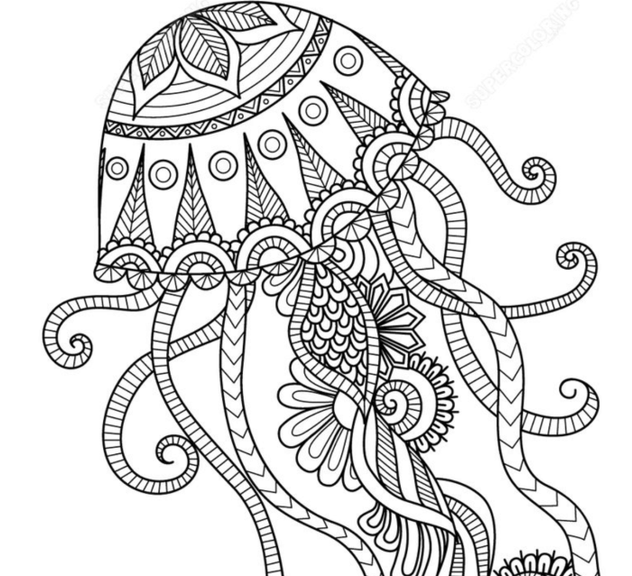 Easy animal zentangle coloring pages