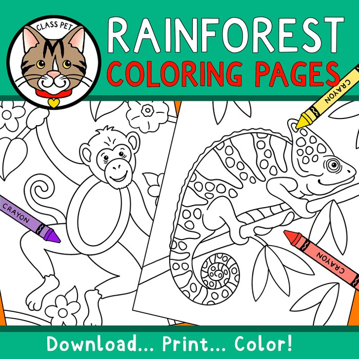 Rainforest animals coloring sheet