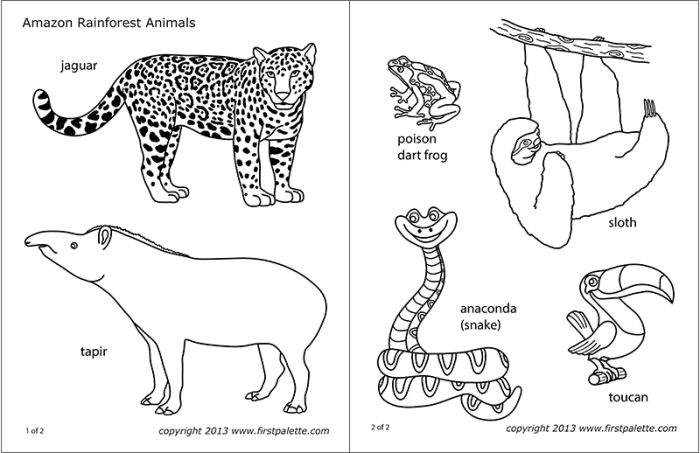 Rainforest animals coloring sheet