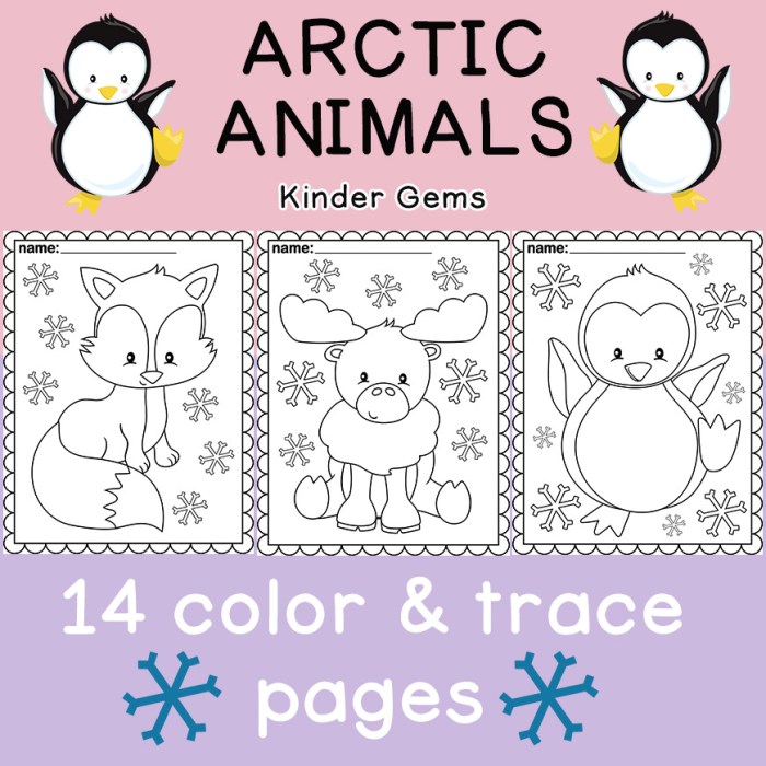 Polar animals coloring sheets